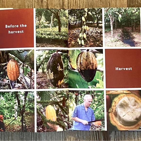 Discover Chocolate book. Ultimate guide to buying and tasting fine chocolate. - Picture 8 of 12